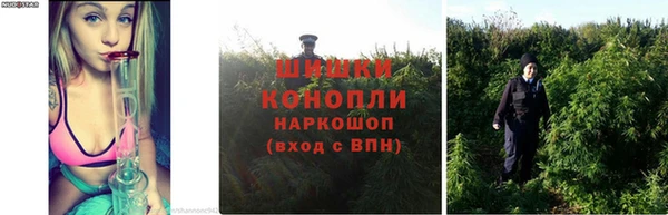 Альфа ПВП Покров