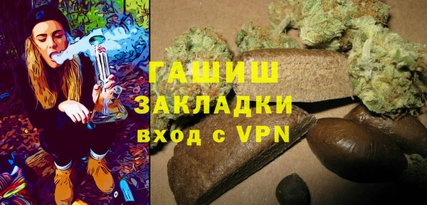 гидра Покачи