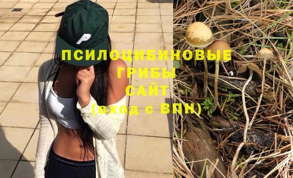 твердый Алзамай