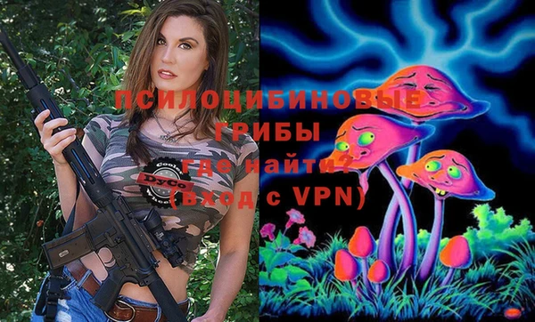 твердый Алзамай