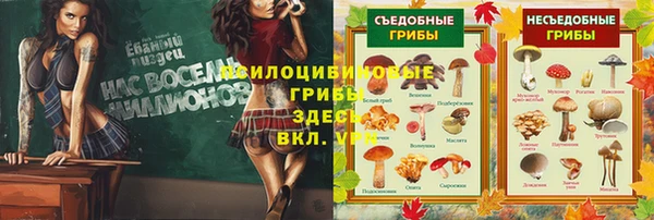 твердый Алзамай