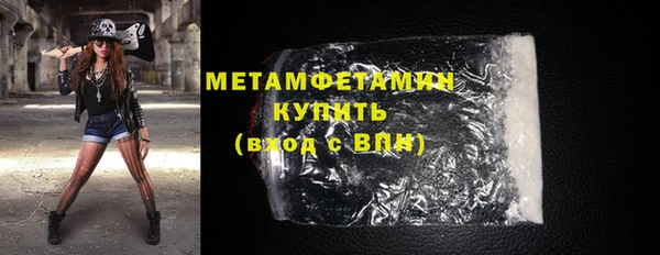 гидра Покачи